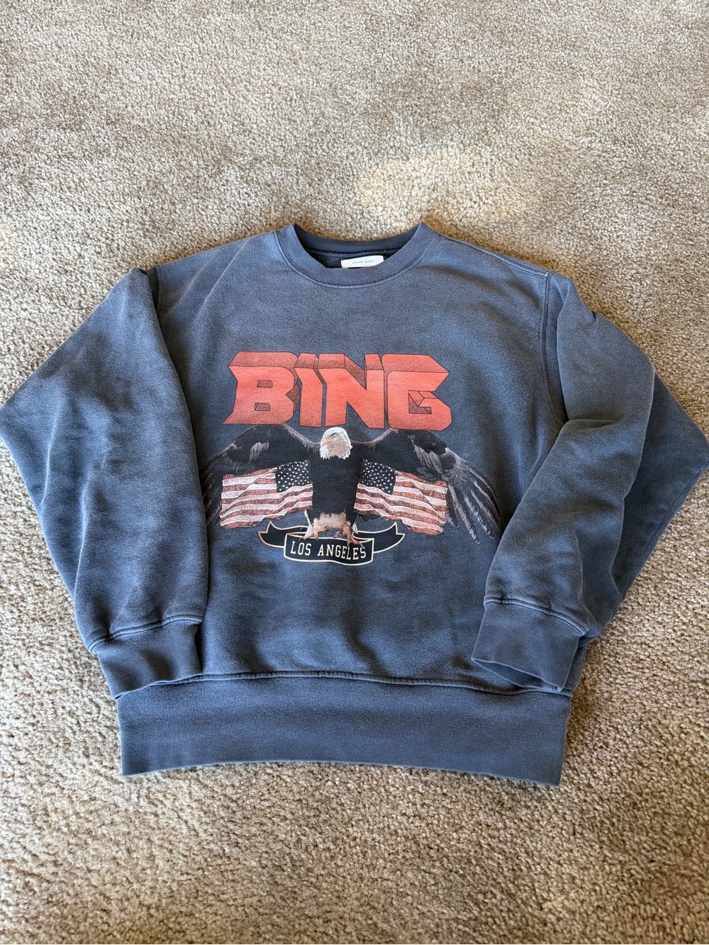 Anine Bing Navy Crewneck Sweatshirt with Red Graphic